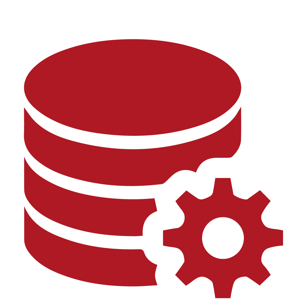 Icon Datenbankprogrammierung