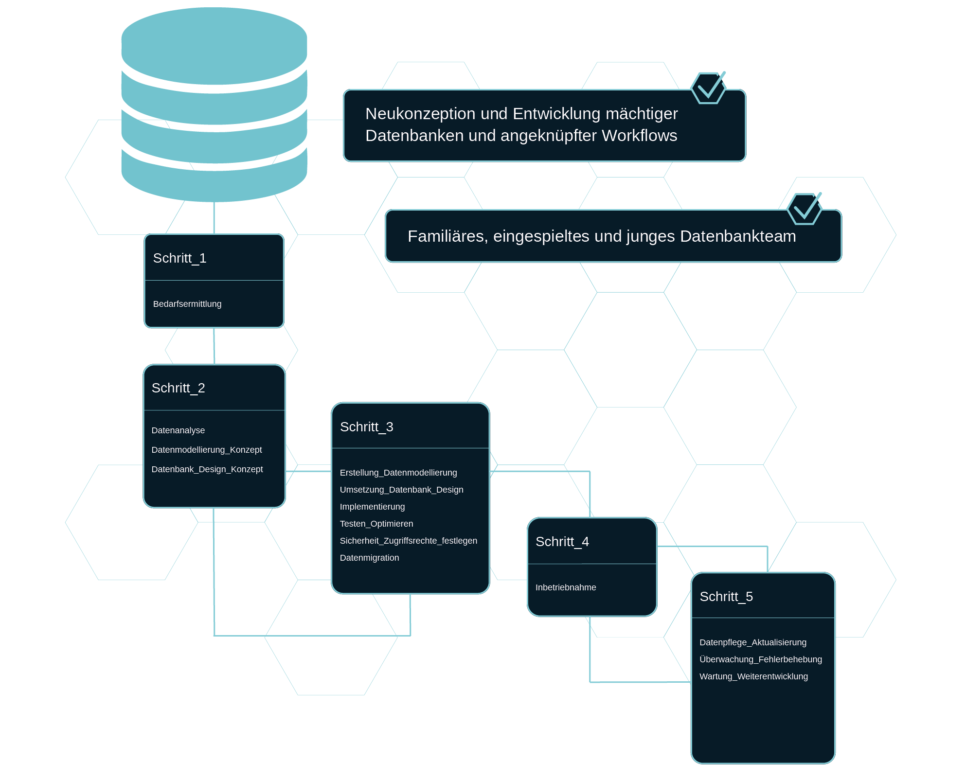 Infografik Datenbankprogrammierung